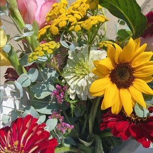 Meet your Posher, Jenny